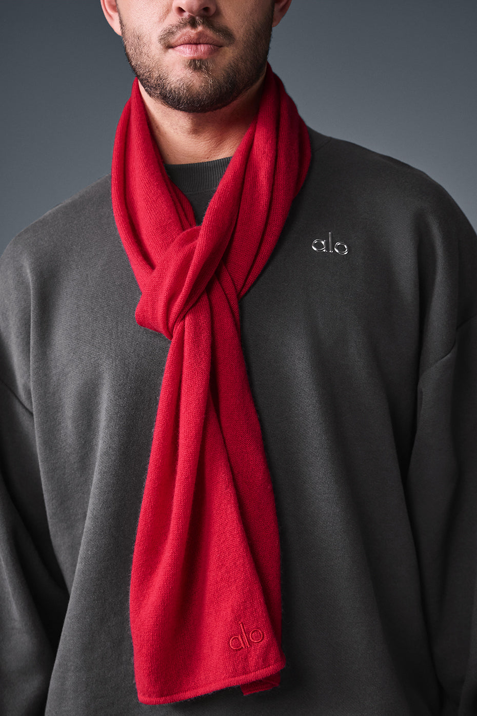 Cashmere Light Frosted Scarf — Red Ribbon