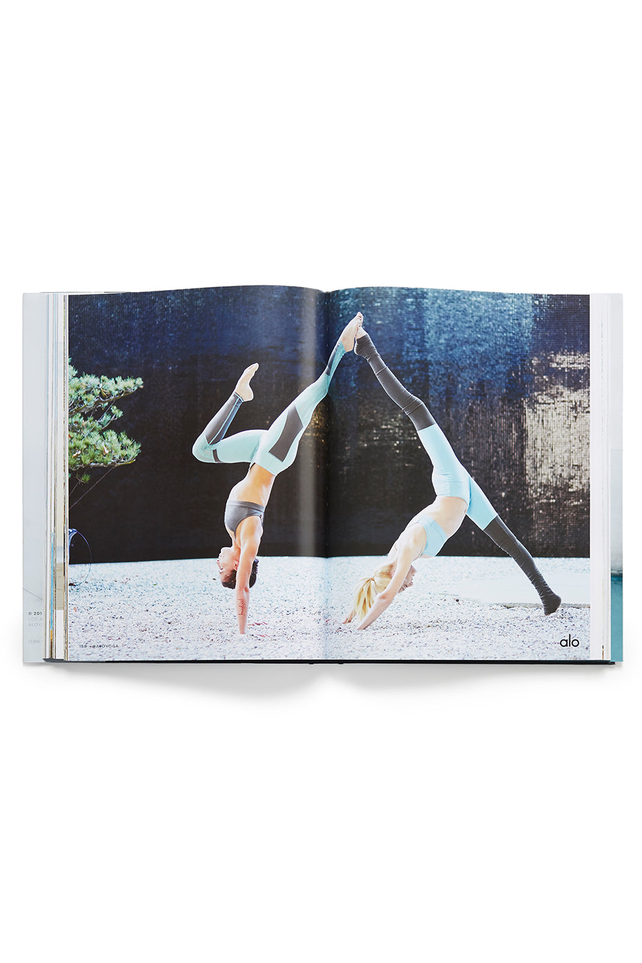 Mindful Movement, a book by ALO