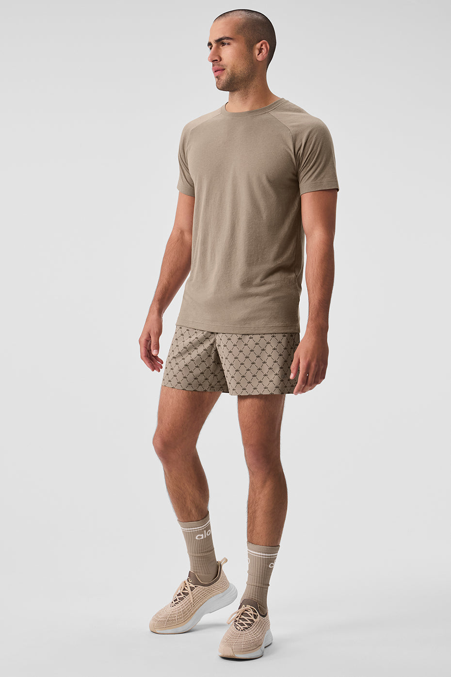 Triumph Raglan Tee — Gravel