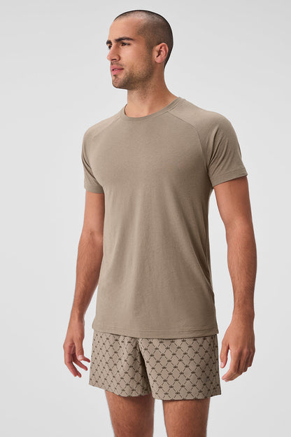 Triumph Raglan Tee — Gravel