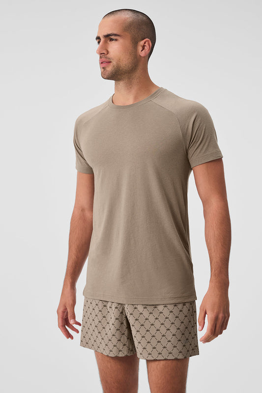 Triumph Raglan Tee — Gravel