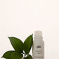 Cleanse & Detox Essential Oil (Tea Tree)