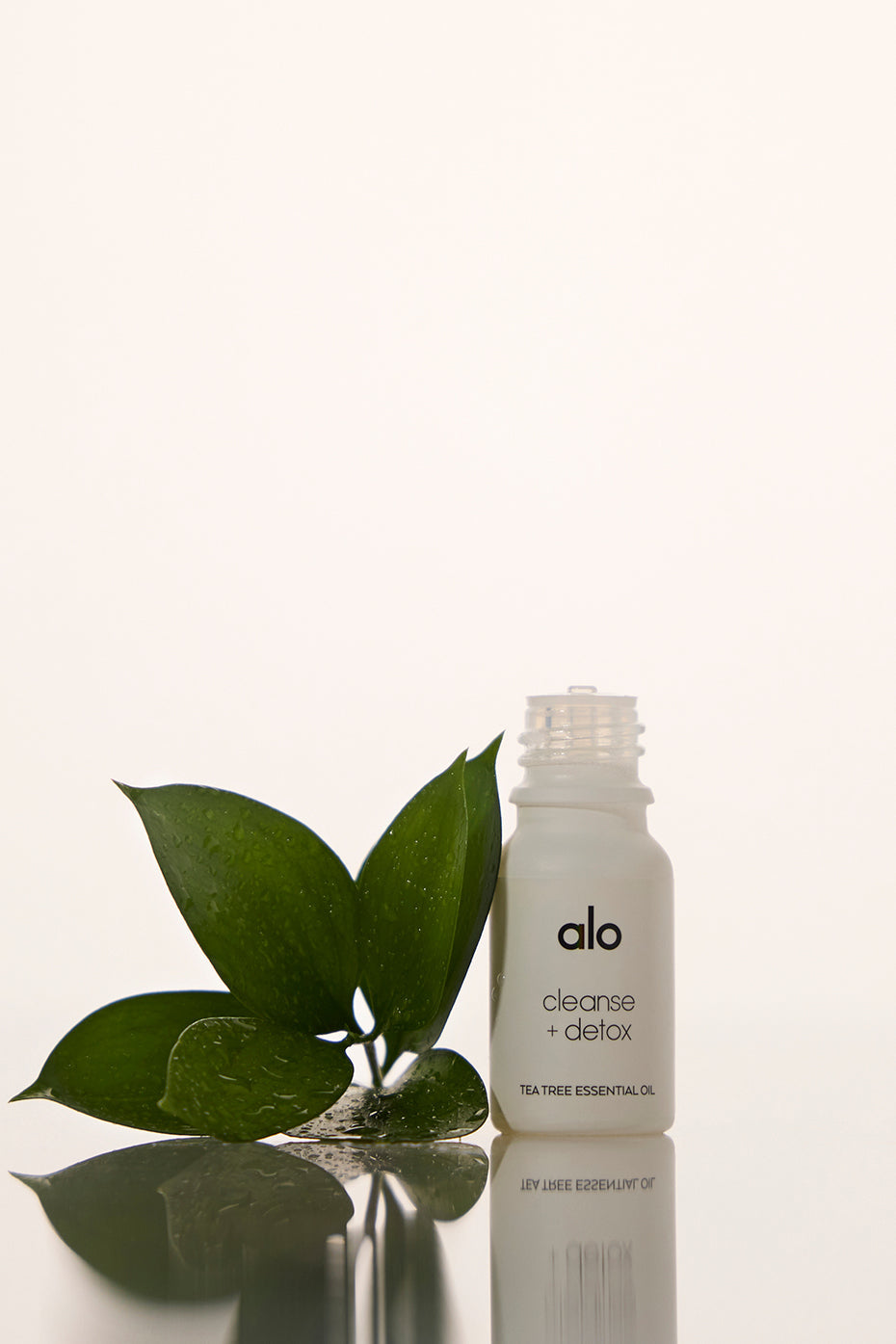 Cleanse & Detox Essential Oil (Tea Tree)