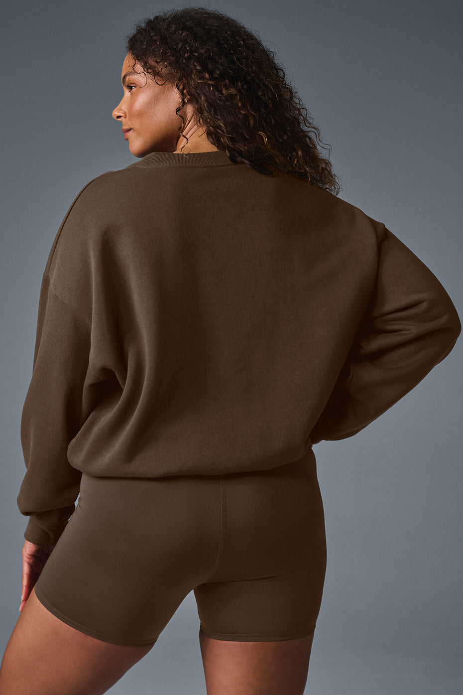 Accolade Crew Neck Crew Sweatshirt — Espresso
