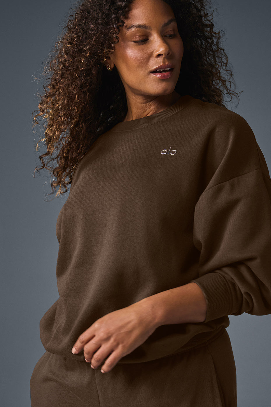 Accolade Crew Neck Crew Sweatshirt — Espresso