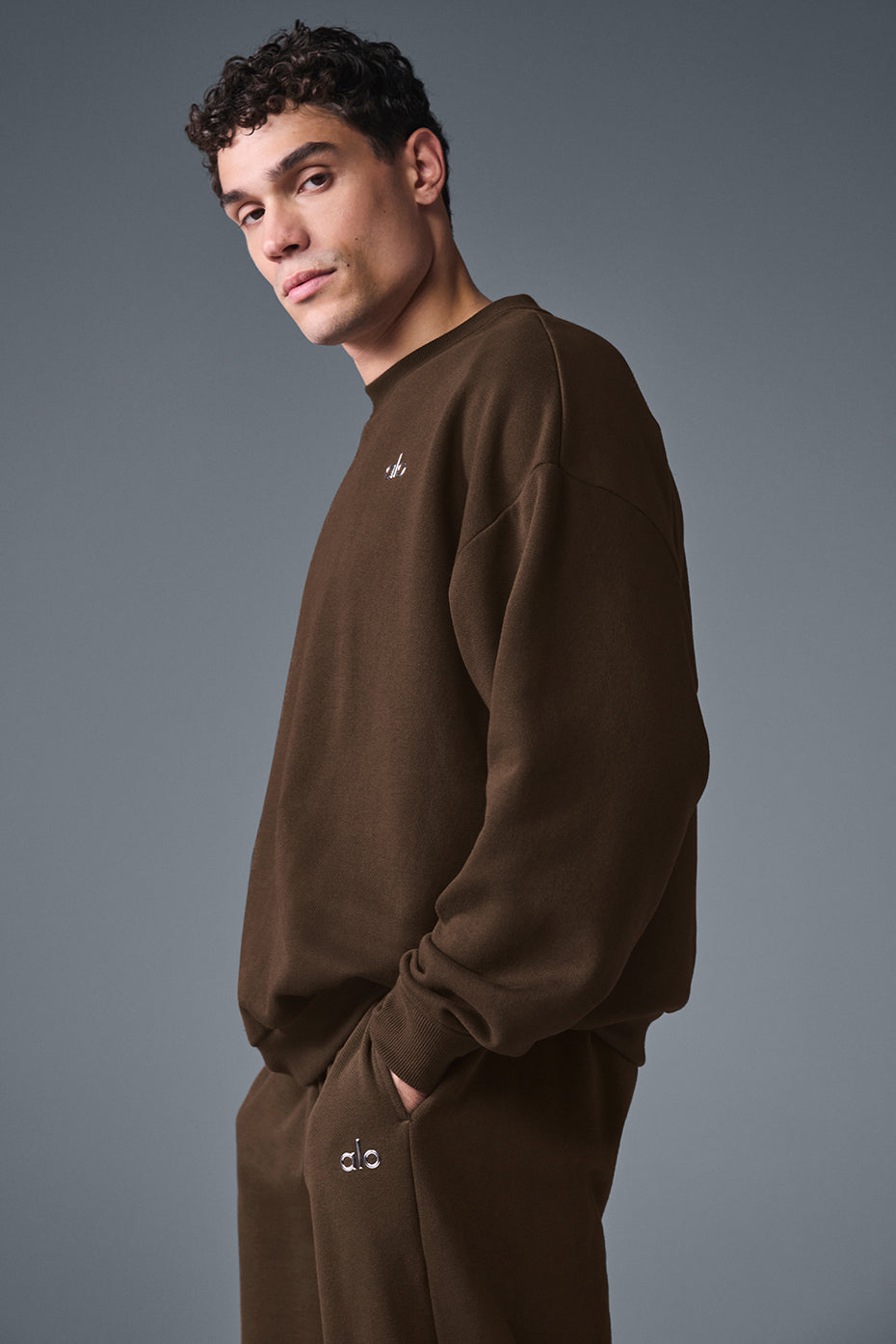 Accolade Crew Neck Crew Sweatshirt — Espresso