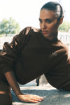 Accolade Crew Neck Crew Sweatshirt — Espresso