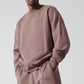 Accolade Crew Neck Crew Sweatshirt — Mushroom