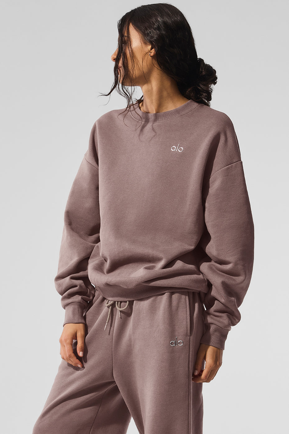 Accolade Crew Neck Crew Sweatshirt — Mushroom