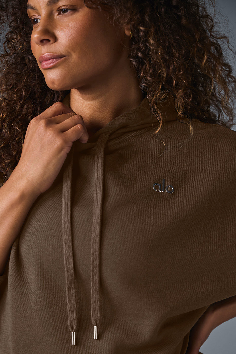 Accolade Hooded Sweatshirt — Espresso