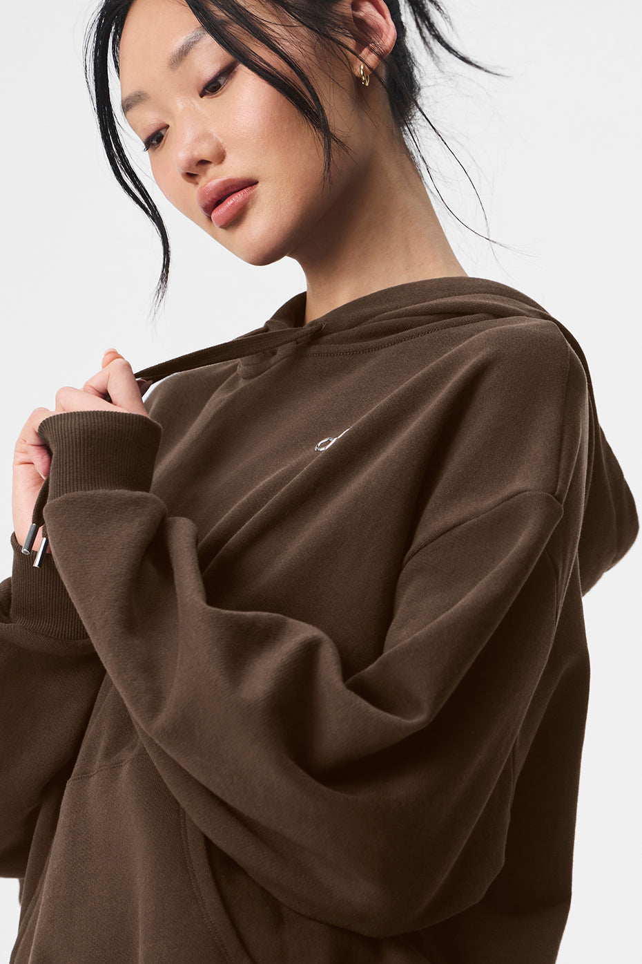 Accolade Hooded Sweatshirt — Espresso