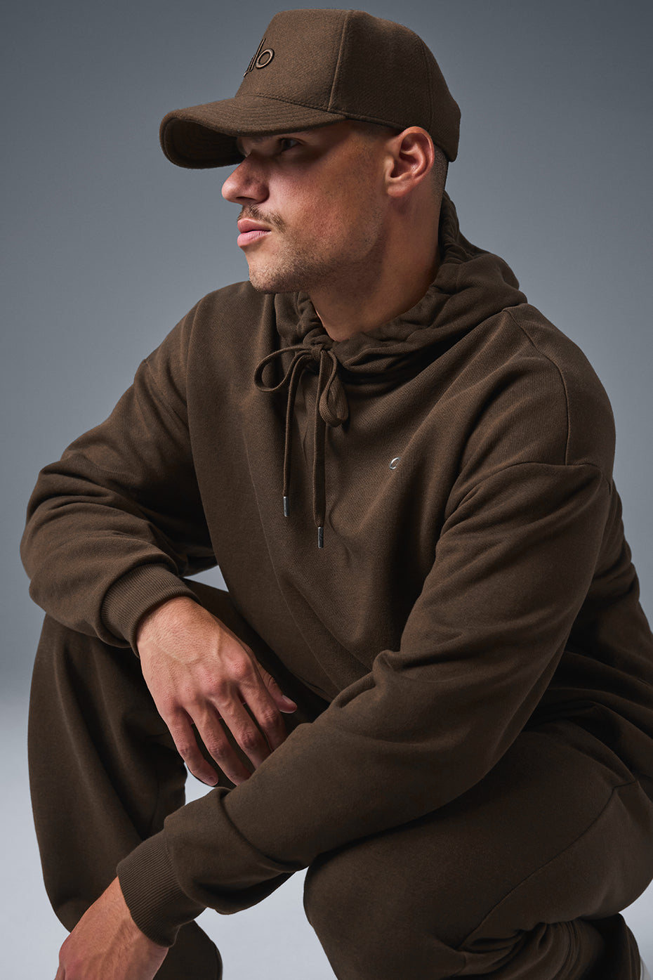 Accolade Hooded Sweatshirt — Espresso